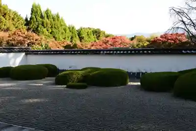 正伝護国禅寺(正伝寺･正傳寺)(京都府)