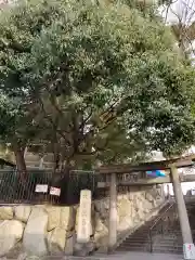 正圓寺の鳥居