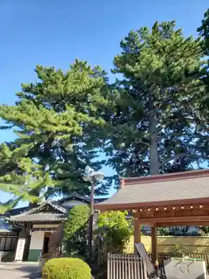 中野沼袋氷川神社(東京都)