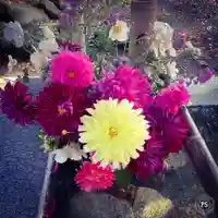 高司神社〜むすびの神の鎮まる社〜の手水舎