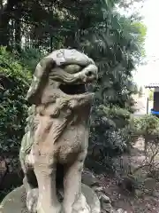 山代神社の狛犬