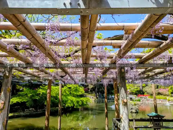 越ヶ谷久伊豆神社の{uncategorized: "未分類", other: "その他", undefined: "問題あり", building: "その他建物", grave: "お墓", sacred_gate: "鳥居", guardian: "狛犬", statue: "像", buddha: "仏像", history: "歴史", nature: "自然", garden: "庭園", animal: "動物", pagoda: "塔", temizu: "手水舎", mountain_gate: "山門・神門", sanctuary: "本殿・本堂", subordinate: "末社・摂社", art: "芸術", scenery: "景色", jizo: "地蔵", ema: "絵馬", goshuin: "御朱印", omikuji: "おみくじ", items: "授与品その他", amulet: "お守り", goshuincho: "御朱印帳", eats: "食事", festival: "お祭り", votive_dance: "神楽", shichigosan: "七五三参", wedding: "結婚式", experience: "体験その他", initially: "初詣", around: "周辺", anti_infection: "感染症対策"}