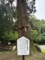 狭野神社の{uncategorized: "未分類", other: "その他", undefined: "問題あり", building: "その他建物", grave: "お墓", sacred_gate: "鳥居", guardian: "狛犬", statue: "像", buddha: "仏像", history: "歴史", nature: "自然", garden: "庭園", animal: "動物", pagoda: "塔", temizu: "手水舎", mountain_gate: "山門・神門", sanctuary: "本殿・本堂", subordinate: "末社・摂社", art: "芸術", scenery: "景色", jizo: "地蔵", ema: "絵馬", goshuin: "御朱印", omikuji: "おみくじ", items: "授与品その他", amulet: "お守り", goshuincho: "御朱印帳", eats: "食事", festival: "お祭り", votive_dance: "神楽", shichigosan: "七五三参", wedding: "結婚式", experience: "体験その他", initially: "初詣", around: "周辺", anti_infection: "感染症対策"}
