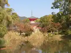 大覚寺の塔