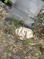 岩国白蛇神社(山口県)