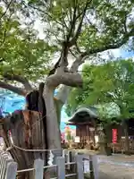 阿邪訶根神社(福島県)