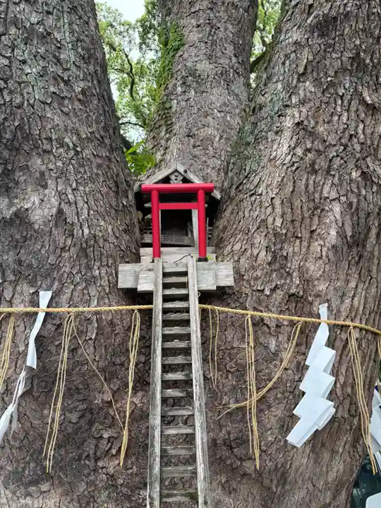 加藤神社(熊本県)