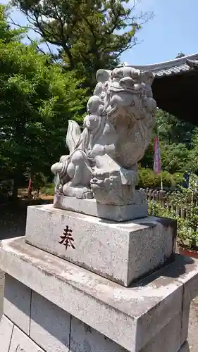 熊野大神社の狛犬