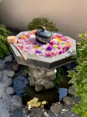 神楽坂安養寺(東京都)