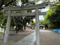 八幡社(渡内八幡社)の{uncategorized: "未分類", other: "その他", undefined: "問題あり", building: "その他建物", grave: "お墓", sacred_gate: "鳥居", guardian: "狛犬", statue: "像", buddha: "仏像", history: "歴史", nature: "自然", garden: "庭園", animal: "動物", pagoda: "塔", temizu: "手水舎", mountain_gate: "山門・神門", sanctuary: "本殿・本堂", subordinate: "末社・摂社", art: "芸術", scenery: "景色", jizo: "地蔵", ema: "絵馬", goshuin: "御朱印", omikuji: "おみくじ", items: "授与品その他", amulet: "お守り", goshuincho: "御朱印帳", eats: "食事", festival: "お祭り", votive_dance: "神楽", shichigosan: "七五三参", wedding: "結婚式", experience: "体験その他", initially: "初詣", around: "周辺", anti_infection: "感染症対策"}