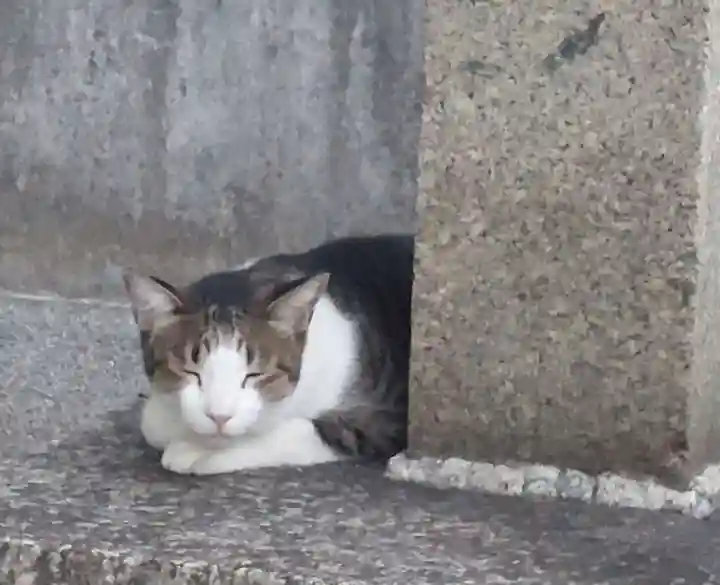 刺田比古神社の動物