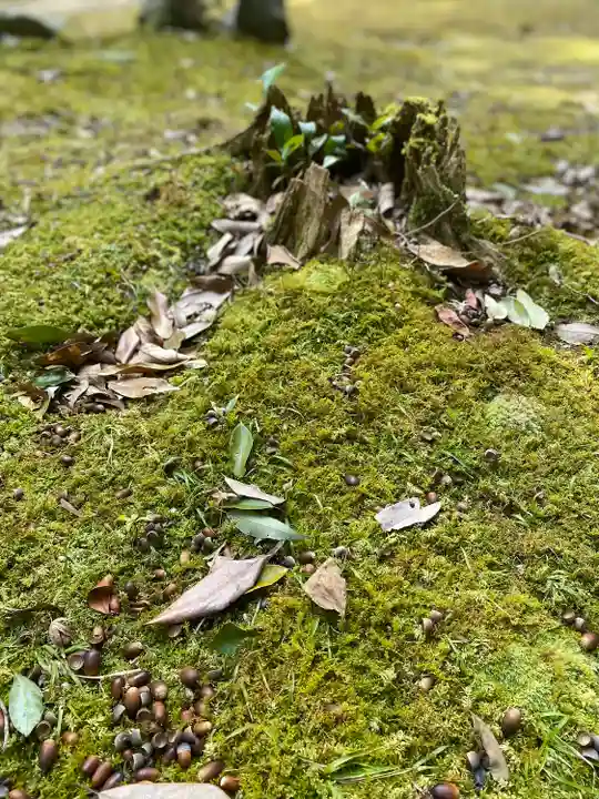 橿原神宮(奈良県)