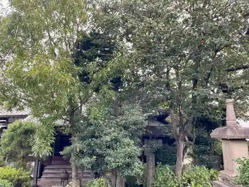 妙行寺(東京都)