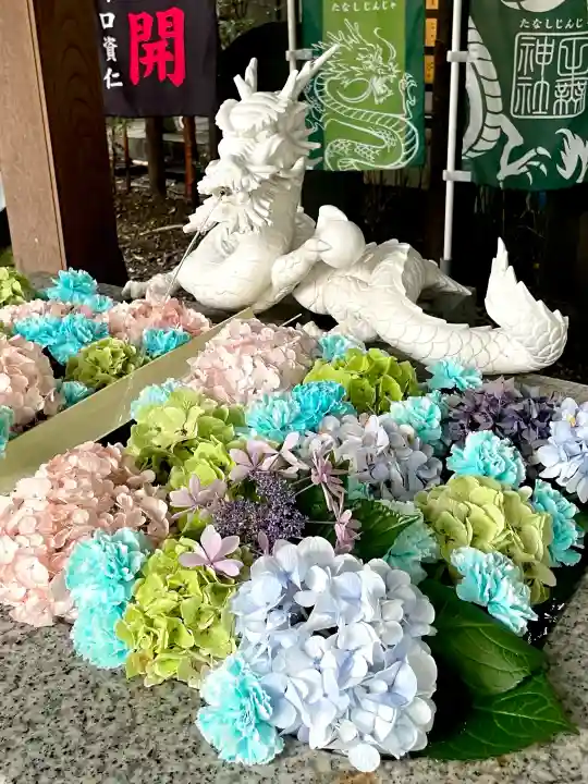 田無神社(東京都)