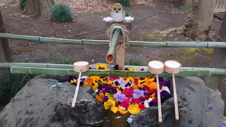 馬場氷川神社の手水舎