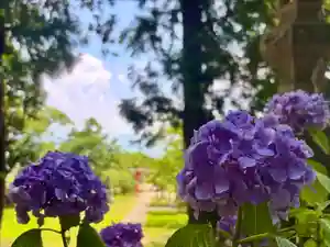 蚊里田八幡宮(長野県)(2025年07月10日(木) 16時20分06秒投稿)