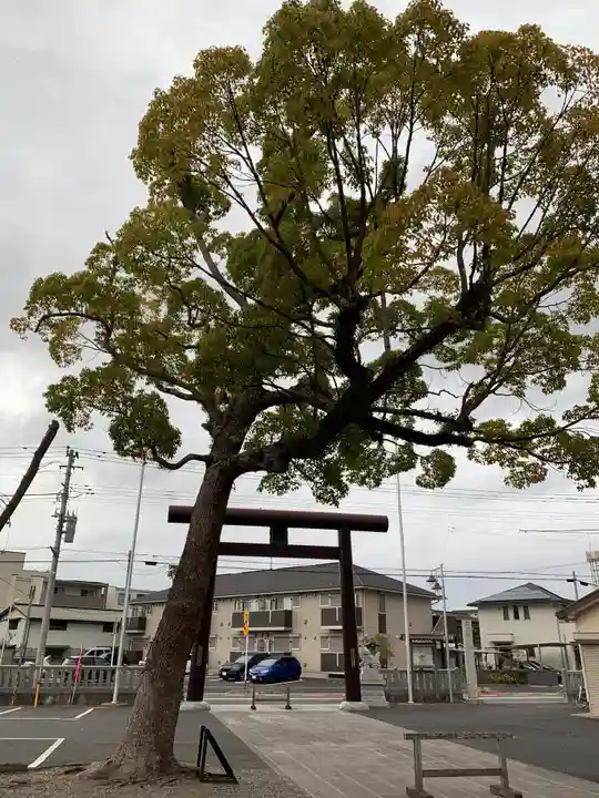大宮神社の鳥居