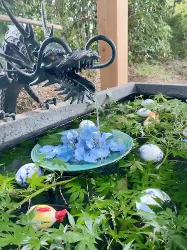 下野 星宮神社(栃木県)