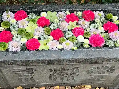 行田八幡神社(埼玉県)