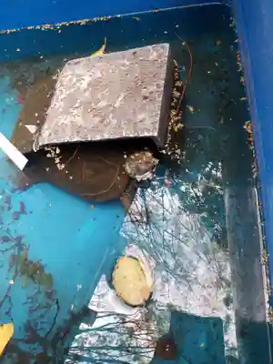 下谷神社(東京都)