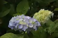 国宝 大法寺の自然