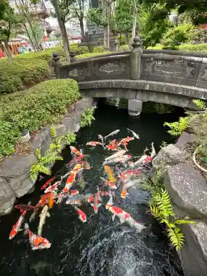 浅草寺(東京都)