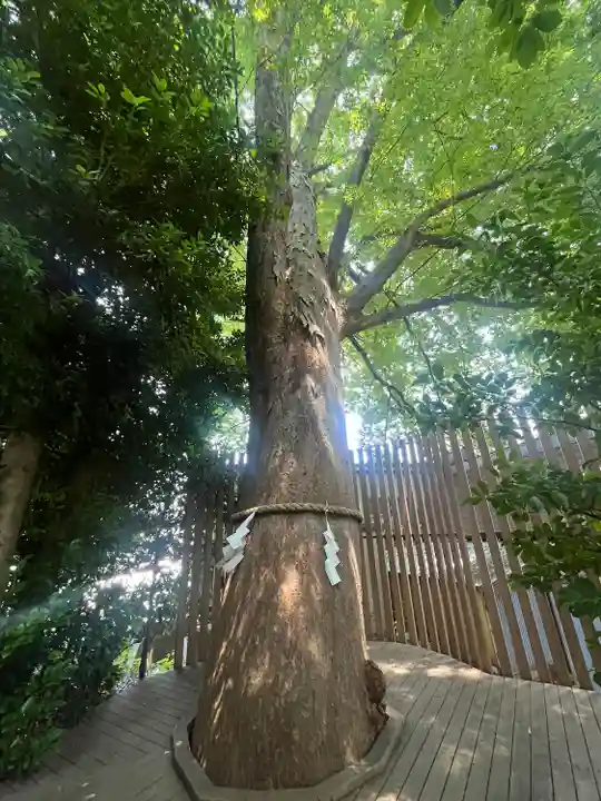 鎮守氷川神社(埼玉県)