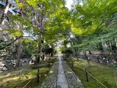 鹿王院の御朱印