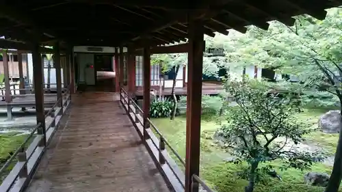 建仁寺（建仁禅寺）の庭園