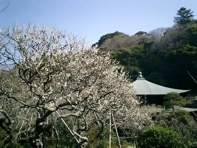 瑞泉寺のその他建物