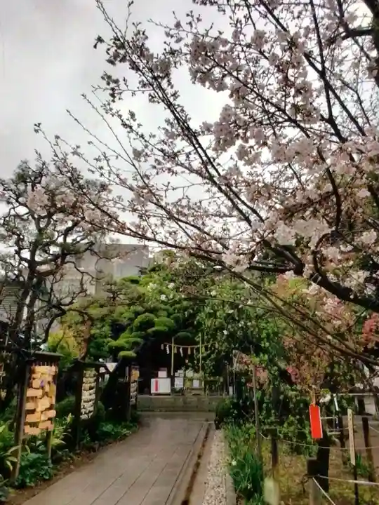鳩森八幡神社の自然