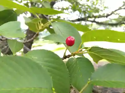 劒神社(福井県)