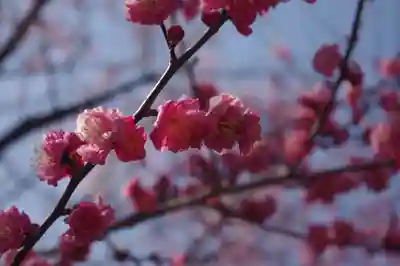 鹿嶋大明神の自然