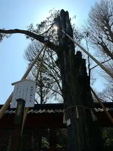 根津神社(東京都)