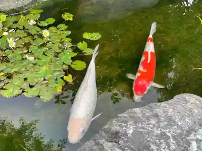 素盞雄神社(東京都)