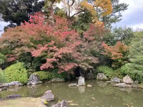 城南宮の庭園