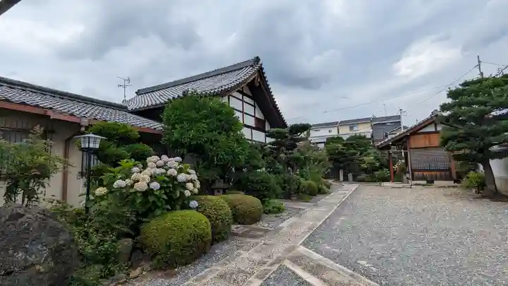 觀音寺(観音寺)(京都府)