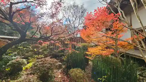 宝泉院(京都府)