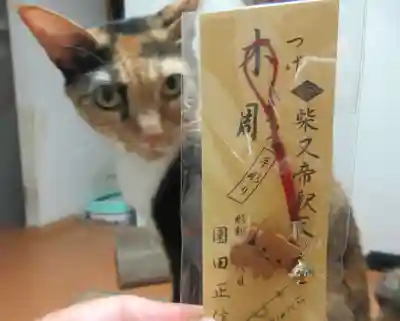 題経寺(柴又帝釈天)(東京都)