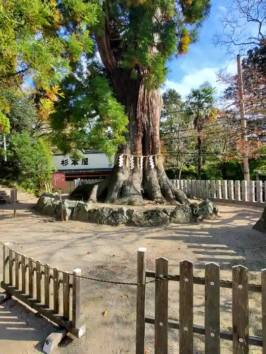 筑波山神社(茨城県)