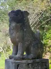 宮道天神社の狛犬