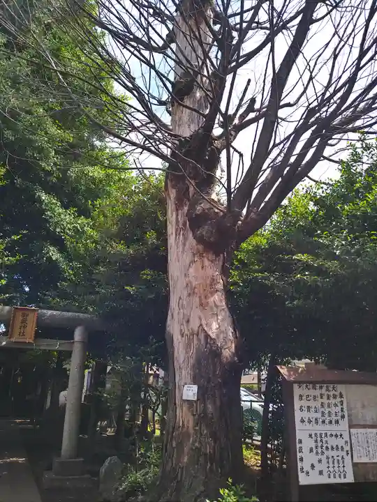御嶽神社の自然