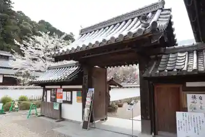 金剛寺(大阪府)