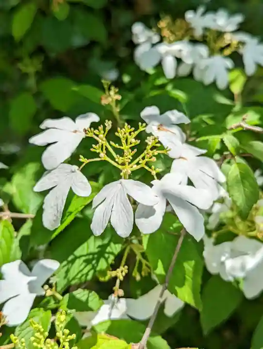 惠心院(京都府)