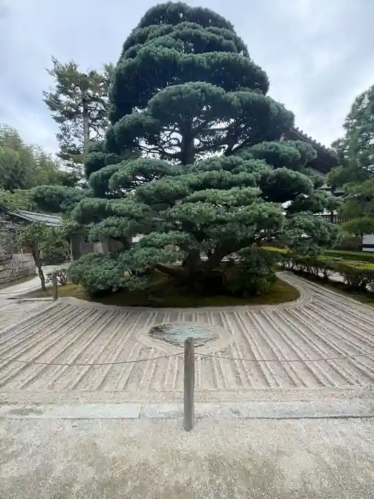 慈照寺(慈照禅寺・銀閣寺)(京都府)