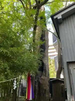 東神奈川熊野神社の{uncategorized: "未分類", other: "その他", undefined: "問題あり", building: "その他建物", grave: "お墓", sacred_gate: "鳥居", guardian: "狛犬", statue: "像", buddha: "仏像", history: "歴史", nature: "自然", garden: "庭園", animal: "動物", pagoda: "塔", temizu: "手水舎", mountain_gate: "山門・神門", sanctuary: "本殿・本堂", subordinate: "末社・摂社", art: "芸術", scenery: "景色", jizo: "地蔵", ema: "絵馬", goshuin: "御朱印", omikuji: "おみくじ", items: "授与品その他", amulet: "お守り", goshuincho: "御朱印帳", eats: "食事", festival: "お祭り", votive_dance: "神楽", shichigosan: "七五三参", wedding: "結婚式", experience: "体験その他", initially: "初詣", around: "周辺", anti_infection: "感染症対策"}