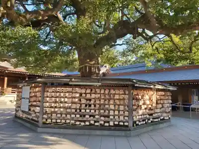 明治神宮(東京都)