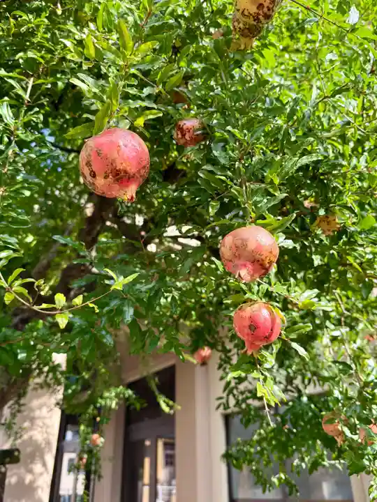 福王山 慈眼寺の自然