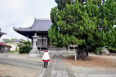 蓮念寺の本殿・本堂