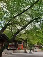 熊野神社の本殿・本堂
